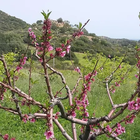 Chalé La Casetta Celeste *