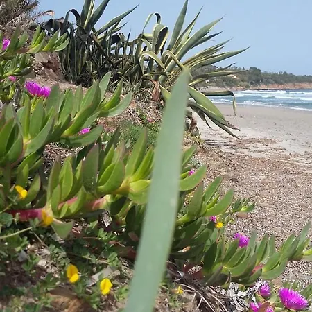 Chalé La Casetta Celeste *