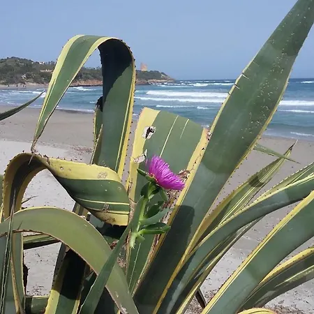 Chalé La Casetta Celeste *