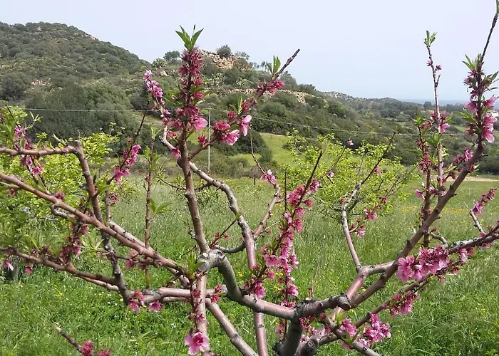 Chalet La Casetta Celeste *