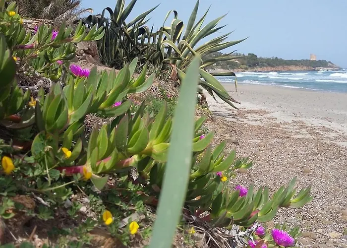 Шале La Casetta Celeste *