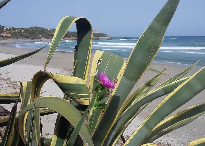 Chalet La Casetta Celeste *